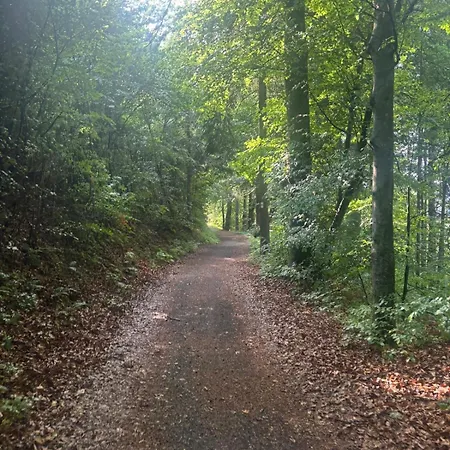 Mit Seeblick, 6 In * Reifnitz